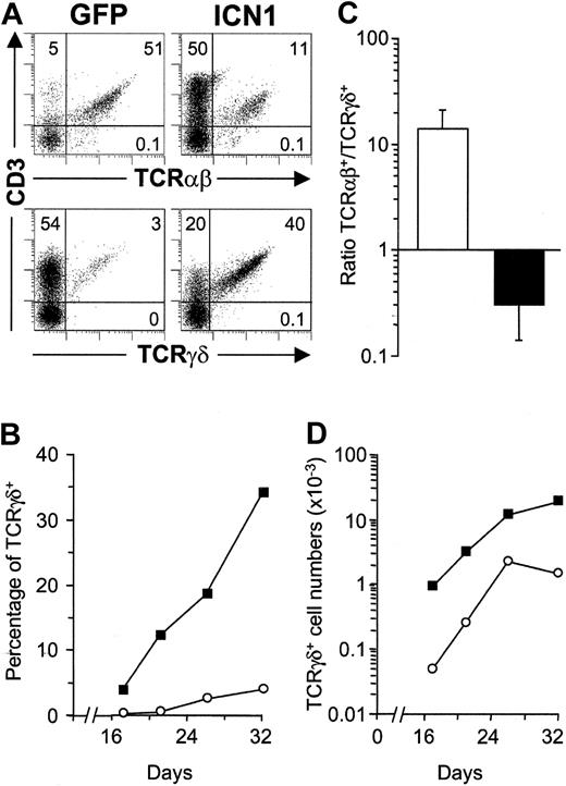 Figure 2. Sustained ICN1 expression in CD34hi thymic lymphoid progenitors results in a skewed production of γδ T cells at the expense of αβ T cells. (A) Flow cytometry analysis of CD3 versus TCRαβ or TCRγδ expression on electronically gated GFP+ progenies derived from ICN1-transduced (ICN1) or mock-transduced (GFP) CD34hi thymic lymphoid progenitors at day 32 in FTOC. Numbers represent percentages in each quadrant. Percentages (B) and absolute numbers (D) of TCRγδ+ cells recovered from lobes seeded with ICN1- (▪) or GFP-transduced (○) progenitors at the indicated days of culture. (C) TCRαβ+/TCRγδ+ cell ratios recovered from mock-transduced (open bars) or ICN1-transduced (filled bars) thymic lymphoid precursors (14.3 ± 6.5 and 0.3 ± 0.2, respectively). Values are the mean ± SD of absolute cell number ratios observed at 11 different time points along FTOCs from 4 independent experiments.