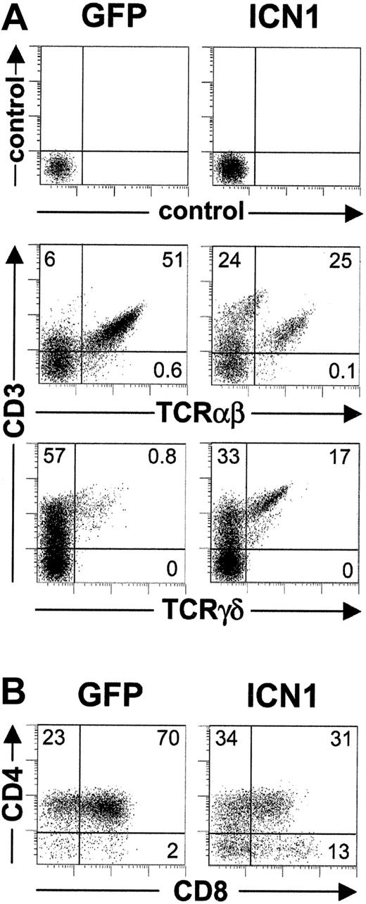 Figure 6. Impact of sustained ICN1 expression on T-cell development from CD34lo thymic pro-T cells. Flow cytometry analysis of either CD3 versus TCRαβ or TCRγδ expression (A) or CD4 versus CD8 expression (B) performed after 30 or 19 days of FTOC, respectively, on electronically gated GFP+ cells generated from ICN1-transduced (ICN1) or mock-transduced (GFP) CD34lo thymic pro-T cells. Results are representative of 3 independent experiments.