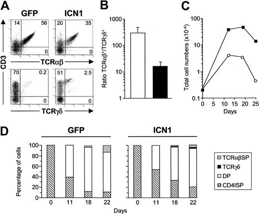 Figure 7. Sustained Notch1 signaling does not prevent CD4 ISP thymocytes from adopting an αβ T-cell fate, but enhances cellular expansion. (A) Flow cytometry analysis of CD3 versus TCRαβ or TCRγδ expression on electronically gated GFP+ cells generated from ICN1-transduced (ICN1) or mock-transduced (GFP) CD4 ISP thymic precursors after 12 days in FTOC. (B) TCRαβ+/TCRγδ+ cell ratios recovered from mock-transduced (open bars) and ICN1-transduced (filled bars) CD4 ISP thymic precursors (296 ± 177 and 16 ± 7.6, respectively). Values are the mean ± SD of absolute cell number ratios observed at 5 different time points along FTOC. (C) Absolute numbers of GFP+-gated total cells derived from ICN1- (▪) or mock-transduced (○) CD4 ISP thymocytes in FTOCs at the indicated time points. Absolute numbers were normalized to 2 × 103 GFP+ transduced cells/lobe. (D) Percentages of CD4 ISP, DP, TCRγδ+, and TCRαβ+ SP cells derived from ICN1- (ICN1) or mock-transduced (GFP) CD4 ISP progenitors at the indicated time points in FTOCs. Results are representative of 3 independent experiments.