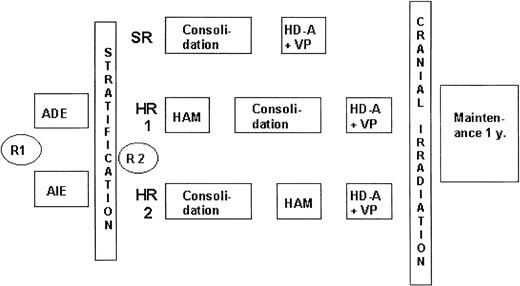 Figure 1. AML-BFM 93 treatment protocol. In the AML BFM 93 study, patients were stratified according to risk groups (SR or HR) after induction therapy. At diagnosis, patients were randomly assigned between induction therapy with daunorubicin (ADE) and idarubicin (AIE). SR patients were then treated with a 6-week consolidation block followed by an intensification course. For HR patients, 2 intensification blocks were given. The first (HAM) was given either before or after the 6-week consolidation block; the second (HD-A+VP) was given as the last intensification block. Sibling SCT was advised for HR patients in first CR. R1 indicates first randomization; R2, second randomization; y, year; ADE, Ara-C (cytarabine), daunorubicin, etoposide; AIE, Ara-C, idarubicin, etoposide; HAM, high-dose Ara-C and mitoxantrone; HD-A, high-dose Ara-C; and VP, etoposide.