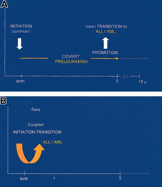 Figure 11. Minimal models for the natural histories of infant and childhood leukemias.