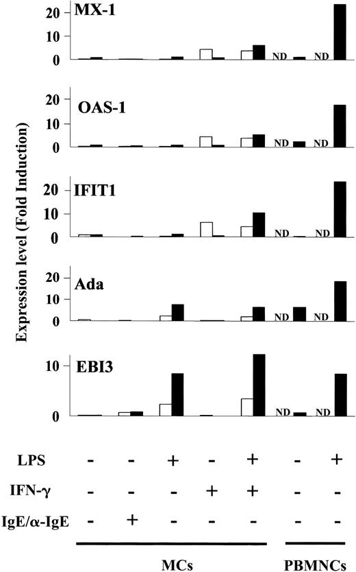 Figure 4. Induction of antiviral genes (Mx-1, Oas-1, IFIT1, Ada, and EBI3) by MCs. Bar graphs display expression of antiviral genes selected from Figure 3A (2 hours; □) and Figure 3B (6 hours; ▪), in human MCs stimulated by LPS in the presence or absence of IFN-γ. It should be noted that EBI3 and Ada were up-regulated by LPS alone, whereas Mx1, Oas-1, and IFIT 1 were up-regulated by IFN-γ pretreatment and the expression levels were sustained by addition of LPS at 6 hours. As a positive control, PBMNCs were stimulated by LPS for 6 hours (▪). Expression levels are shown as normalized values (“Materials and methods”). ND indicates not determined.