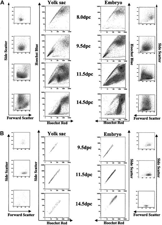 Figure 1. Hoechst profile of YS and embryonic tissues isolated 8.0 dpc to 14.5 dpc. (A) A Hoechst SP is present in YS isolated 8.0 to 11.5 dpc and in embryonic tissues isolated 8.0 dpc to 14.5 dpc. Accompanying forward scatter/side scatter (FS/SS) profiles indicate distribution of all events in the Hoechst profile. (B) Gated SP demonstrates homogeneity by FS/SS distribution.