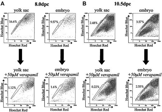 Figure 2. Effect of verapamil on embryonic SP. (A) Coincubation of tissues with Hoechst and 50 μM verapamil dramatically reduces the percentage of SP cells in yolk sac and embryonic tissue isolated 8.0 dpc by a factor of 14.8 and 5.9, respectively. (B) Coincubation of tissues isolated 10.5 dpc with Hoechst and 50 μM verapamil decreases the percentage of SP cells in yolk sac and embryo by a factor of 11.4 and 1.4, respectively. All verapamil experiments were performed twice.