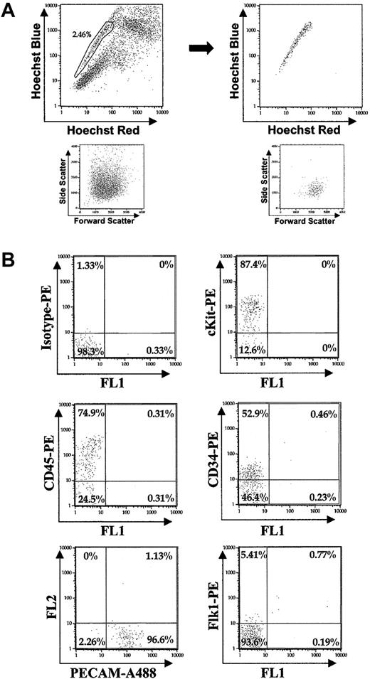 Figure 4. Relative expression of cell surface antigens by embryonic SP. (A) Hoechst profile of 10.5 dpc YS. After gating of SP, a tight FS/SS distribution becomes evident for the SP cells. (B) Representative antibody staining of gated SP isolated 10.5 dpc.