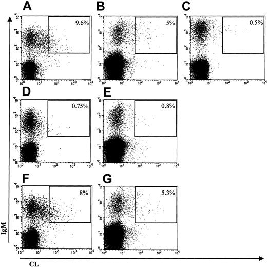 Figure 1. CL binding of IgM-expressing B cells. The percentage of double-positive cells (upper right gate) is expressed as the percentage of IgM-positive B cells. Binding of labeled CL vesicles and anti-IgM: (A) patient 1; (B) patient 3; and (C) healthy subject. Inhibition of labeled CL vesicles binding with nonlabeled CL vesicles: (D) patient 1 and (E) patient 3. Inhibition of labeled CL vesicles binding with nonlabeled PC vesicles: (F) patient 1 and (G) patient 3.