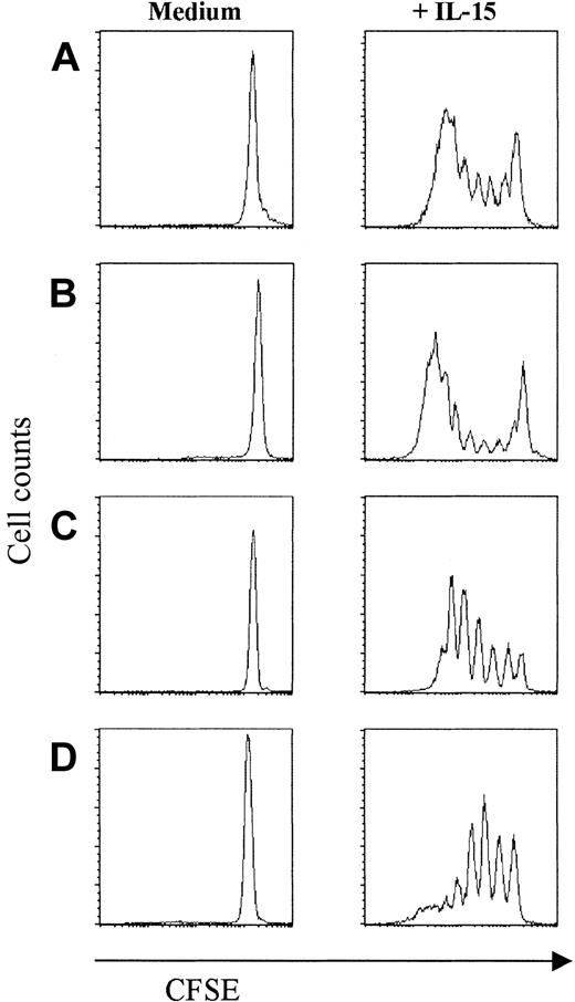 Figure 2. Purified naive and cytotoxic- and noncytotoxic-primed CD8+ T cells proliferate upon IL-15 stimulation. Sorted populations were labeled with CFSE and stimulated for 7 days with IL-15 (10 ng/mL), followed by FACS analysis. (A) UCB naive CD8+ T cells. (B) Peripheral naive CD8+ T cells. (C) Cytotoxic CD8+ T cells (CD27-CD45RAbright). (D) Noncytotoxic CD8+ T cells (CD27+CD45RAdull/neg). Data are one representative experiment of 4 performed.