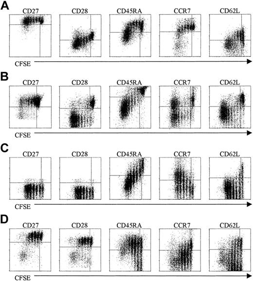 Figure 3. Phenotypic properties of purified subsets after IL-15 stimulation. Purified subsets were labeled with CFSE and stimulated with IL-15 (10 ng/mL). After 7 days the cells were stained for the indicated cell surface markers, followed by FACS analysis. (A) UCB naive CD8+ T cells. (B) Peripheral naive CD8+ T cells. (C) Cytotoxic CD8+ T cells (CD27-CD45RAbright). (D) Noncytotoxic CD8+ T cells (CD27+CD45RAdull/neg). Data are one representative experiment of 4 performed.