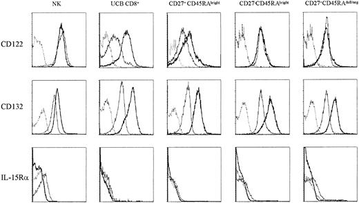 Figure 4. Up-regulation of IL-2/15Rβ (CD122) on naive CD8+ T cells and of IL-2/15 Rγ (CD132) on all subsets after IL-15 stimulation. The purified subsets were labeled with CFSE and stimulated with IL-15 (10 ng/mL) for 7 days. NK cells gated on CD3-CD16+CD56+ (NK), CD8+ T cells purified from UCB (UCB CD8+), peripheral naive CD8+ T cells (CD27+CD45RAbright), cytotoxic CD8+ T cells (CD27-CD45RAbright), and noncytotoxic CD8+ T cells (CD27+CD45RAdull/neg) were stained for CD122 (IL-2/15 Rβ), CD132 (IL-2/15 Rγ), and IL-15Rα followed by FACS analysis. Dashed line indicates isotype control; thin line, resting cells; and bold line, IL-15-stimulated cells. Data are one representative experiment of 3 performed.