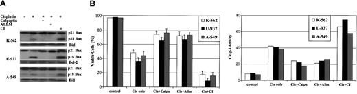 Figure 10. Calpain inhibitors block while cathepsin inhibitor I (CI) amplifies drug-induced apoptosis in A-549, K-562, and U-937 cells. K-562, U-937, and A-549 cells were treated with 20 μM cisplatin alone or in the presence of 20 μM calpeptin (calpain inhibitor) or 40 μM CI or 20 μM ALLM for 36 hours. Control cells were left untreated or treated with either the same dose of inhibitor only or a corresponding volume of DMSO. (A) Proteins were extracted and subjected to SDS-PAGE and Western blotting with human-specific anti-Bax, anti-Bcl-2, and anti-Bid antibodies. (B) Cell viabilities were measured by the trypan blue exclusion method. Caspase-3 activity was measured as described in “Materials and methods” at 24 hours following the treatments to confirm the viability results. Error bars indicate means ± SD (n = 3).