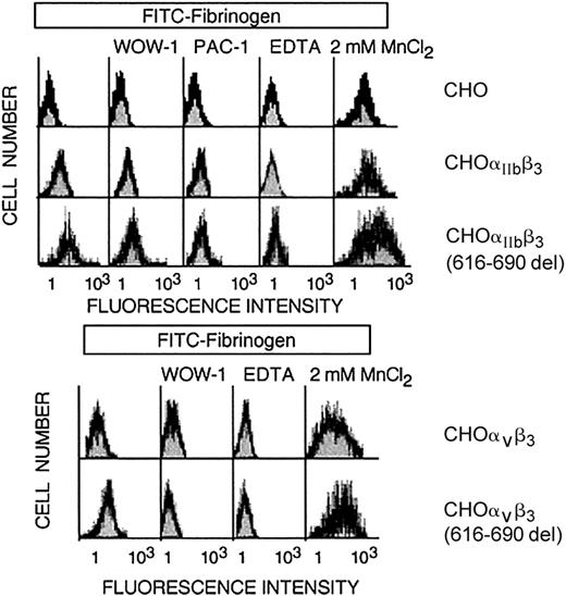 Figure 6. Flow cytometric analysis of binding of CHO cells expressing either normal or mutated β3 receptors to FITC-labeled fibrinogen. CHO cells stably expressing heterodimers of normal or mutant β3(616-690del) with endogenous αv or with transfected αIIb were incubated with soluble FITC-fibrinogen alone or in the presence of mAbs directed against activated αvβ3 (WOW-1) or activated αIIbβ3 (PAC-1), 2 mM MnCl2,or 5mM EDTA. Bound fluorescence was determined by flow cytometric analysis.