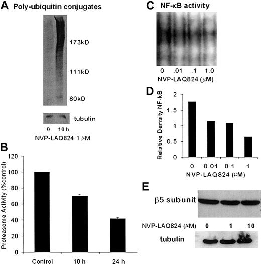 Figure 7. NVP-LAQ824 inhibits proteasome activity. (A) Whole-cell extracts were analyzed for levels of polyubiquitin conjugates by Western blot. Polyubiquitin conjugates were significantly increased at 10 hours, indicating inhibition of the 26S proteasome. (B) NVP-LAQ824 induced a time-dependent decrease in 20S proteasome activity, as determined by chymotrypsin-like proteasome activity at 10 hours (P = .001) and 24 hours (P = .0003). (C-D) NVP-LAQ824 inhibits NF-κB activation in a dose-dependent fashion, determined by EMSA and measured by densitometry. (E) There was no change in the levels of β5 proteasome subunits, even after 24-hour incubation with NVP-LAQ824, as determined by Western blot.