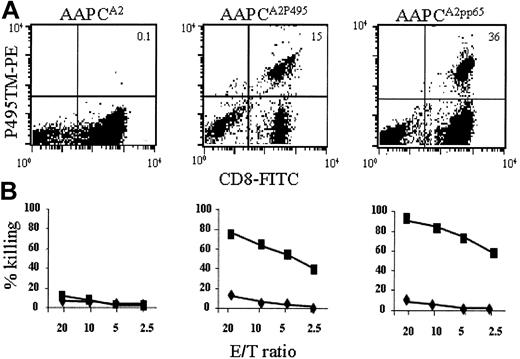 Figure 2. Tetramer reactivity and cytotoxicity profile of CTLs activated on HLAA2.1/AAPCs. (A) Staining with anti-CD8 (FITC-labeled, x-axis) and HLAA2.1/P495 tetramer (PE-labeled, y-axis). (B) Cytotoxicity assays performed against peptide-pulsed TAP-deficient A2.1+ T2 targets with CTLs shown above. ▪ indicates T2 cells pulsed with P495; ♦, T2 cells pulsed with irrelevant peptide. Left panels: CTLs cultured on “empty” AAPCs. Staining with P495 tetramer was lower than 0.1%. Middle panels: CTLs activated on AAPCA2P495. Right panels: CTLs activated on AAPCA2pp65. AAPCA2P495 and AAPCA2pp65 efficiently kill T2 targets pulsed with P495. Cytolysis at a given E/T ratio is higher for CTLs activated on AAPCA2pp65 compared with AAPCA2P495. Results are representative for 3 different donors.