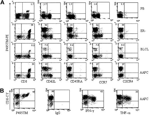 Figure 6. CMV-specific CTLs have an effector memory phenotype and a Tc1 cytokine secretion profile. (A) CMV-specific CTLs have an effector memory phenotype. CTLs were characterized by staining for (left to right) CD8, CD62L, CD45RA, CCR7, and CXCR4 (all FITC-labeled antibodies, x-axis), against the P495 tetramer (PE-labeled, y-axis). Top to bottom: CTLs from peripheral blood prior to any stimulation (PB), CTLs activated on ER- PBMCs, BLCLs, or AAPCA2pp65 (AAPC). The immunophenotyping of CTLs from peripheral blood before any stimulation or after in vitro expansion using autologous presenting cells or AAPCs (either AAPCA2P495 or AAPCA2pp65) was identical and consistent with an effector memory phenotype for the 3 donors. (B) The P495-specific CTLs have a Tc1 cytokine secretion profile. Intracellular cytokine staining was performed after a 10 to 14-day coculture with AAPCA2pp65. At the end of the coculture, 48% of the cells stain positive for P495 tetramer (left panel, y-axis). After a brief restimulation on a monolayer of AAPCs in the presence of brefeldin A, a comparable percentage of CD8-positive cells stained strongly positive for IFN-γ and TNF-α. Similar results were obtained with 3 APCs and for the 3 donors.