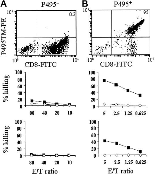 Figure 7. P495-specific CTLs remain highly cytotoxic after purification using tetramer and anti-PE microbeads. (A) Tetramer reactivity and cytotoxicity profile of P495-depleted CTL fraction (P495-) after restimulation on AAPCA2pp65. CTLs are less than 0.5% P495 tetramer-positive (top panel). Cytotoxicity assays were performed starting from an E/T ratio of 80:1 against T2 cells (middle panel) or against A2.1+ BLCLs (bottom panel). In the middle panel, ▪ indicates T2 cells pulsed with P495; and ♦, T2 cells pulsed with flu. In the bottom panel, ▪ indicates BLCLpp65; ♦, BLCLflu. (B) Tetramer reactivity and cytotoxicity profile of P495-specific CTL fraction (P495+) after restimulation on AAPCA2pp65. P495+ CTLs remain more than 95% P495 tetramer-positive (top panel). Cytotoxicity assays were performed starting from an E/T ratio of 5:1 against the same targets as in panel A. CTLs specifically killed T2 cells pulsed with P495 (middle panel) and BLCLpp65 (bottom panel). Similar results were obtained with T cells of 3 different donors.