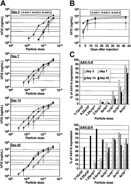 Figure 3. Dose-dependence and kinetics of hFIX expression from AAV serotype vectors. (A) hFIX expression as a function of vector dose and time after injection. hFIX-expressing AAV vectors of type 1, 2, or 6 were injected into the portal veins of C57Bl/6 mice (n = 4 or 5) at 9 different doses, in 2-fold increments ranging from 1.56 × 109 to 4 × 1011 genome-containing particles. hFIX levels in the plasma were measured using ELISA, from day 3 after injection until day 42, and were plotted as mean ± SD against the vector dose. The lines in each graph indicate 1% (solid line), 5% (dotted line), or 100% (dashed line) of normal hFIX levels. (B) Kinetics of hFIX expression. As an example to highlight the different kinetics of AAV-1, -2, and -6 vectors, the graph shows hFIX levels obtained between 3 and 42 days after portal vein injection of 1 × 1011 particles. (C) Ratio of hFIX expression from AAV vector types 1 or 2, respectively, to the AAV-6 vector. For each vector dose and point in time after injection, plasma hFIX levels from the AAV-1 (left) or -2 (right) vectors were plotted as a percentage of expression from the AAV-6 vector, which was always set at 100%.