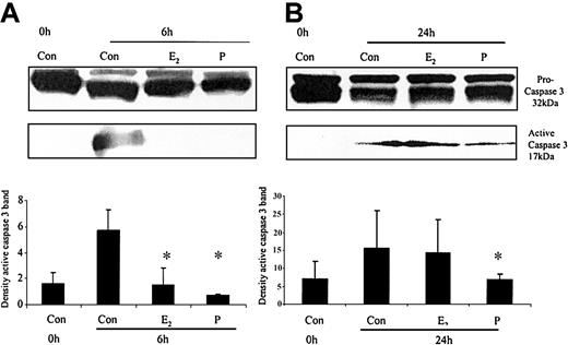 Figure 7. The effects of estradiol and progesterone on spontaneous caspase 3 activation at 6 and 24 hours assessed by Western blot and densitometry. Total cellular protein was extracted at 6 and 24 hours from control neutrophils and cells incubated with estradiol or progesterone (10-8 g/mL). (A) Pro and active caspase 3 were assessed by Western blot analysis. These blots are representative of one of at least 3 separate experiments. (B) Densitometry was performed and the density of each band (percent of total pixels) expressed as the mean ± SD of all blots. *P < .05 versus control at 6 hours.