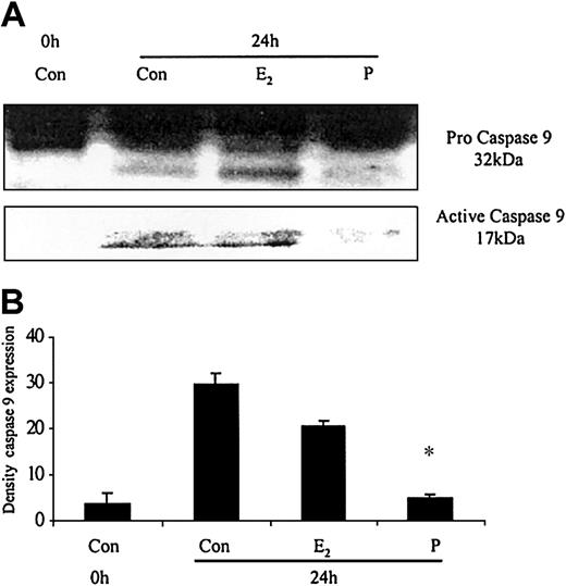 Figure 8. The effects of estradiol and progesterone on spontaneous caspase 9 activation at 24 hours assessed by Western blot and densitometry. Total cellular protein was extracted at 24 hours from control neutrophils and cells incubated with estradiol or progesterone (10-8 g/mL). (A) Pro and active caspase 9 were assessed by Western blot analysis. These blots are representative of 1 of at least 3 separate experiments. (B) Densitometry was performed and the density of each band (percent of total pixels) expressed as the mean ± SD of all blots. *P < .05 versus control at 6 hours.