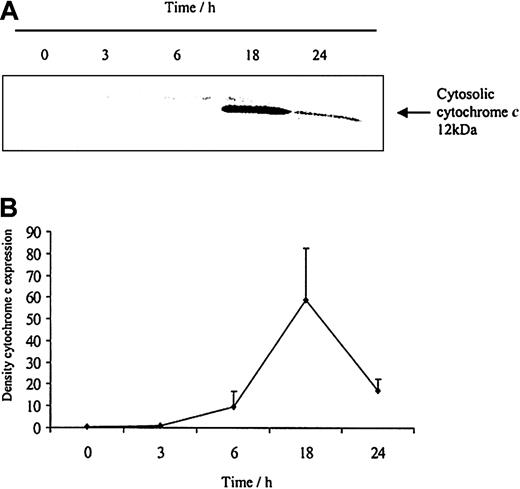 Figure 10. The release of cytochrome c from aging neutrophils on Western blot and densitometry. Cytoplasmic fractions were extracted from human neutrophils after 0, 3, 6, 18, and 24 hours of aging in vitro. (A) Cytosolic cytochrome c release was assessed using Western blot analysis. The blot represents one of 3 separate experiments. (B) Densitometry of the 3 blots was performed and the density of each band (percent of total pixels) expressed as mean ± SEM.