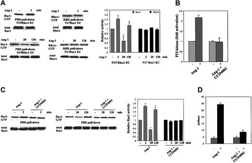 Figure 6. Ang-1-dependent modulation of Rac1 and RhoA in ECs carrying N17Rac1 or N19RhoA, and LY294002 effect on activation in ECs. (A) Rho GTPase activities were evaluated in chemokinesis assay by using cells carrying N17Rac1, N19RhoA, or vector. (B) Starved, subconfluent ECs were preincubated (5 minutes) with or without LY294002 (25 μM) and then stimulated for 2 minutes with Ang-1 (50 ng/mL). PI 3-kinase was measured on antiphosphotyrosine mAb immunopreciptates (the level of PI(3,4,5)P in unstimulated cells was 26.2 ± 1.2 pmol, n = 3). (C) ECs were preincubated with LY294002 as detailed in panel B and then stimulated for the indicated times with Ang-1 (20 ng/mL) in chemokinesis assay. Densitometric analysis was evaluated as in Figure 4 (mean ± SD of 5 experiments; *P < .05 versus unstimulated cells by Student t test). (D) EC chemokinesis induced by Ang-1 in the presence or absence of LY294002 (25 μM). Mean ± SD of 3 experiments.