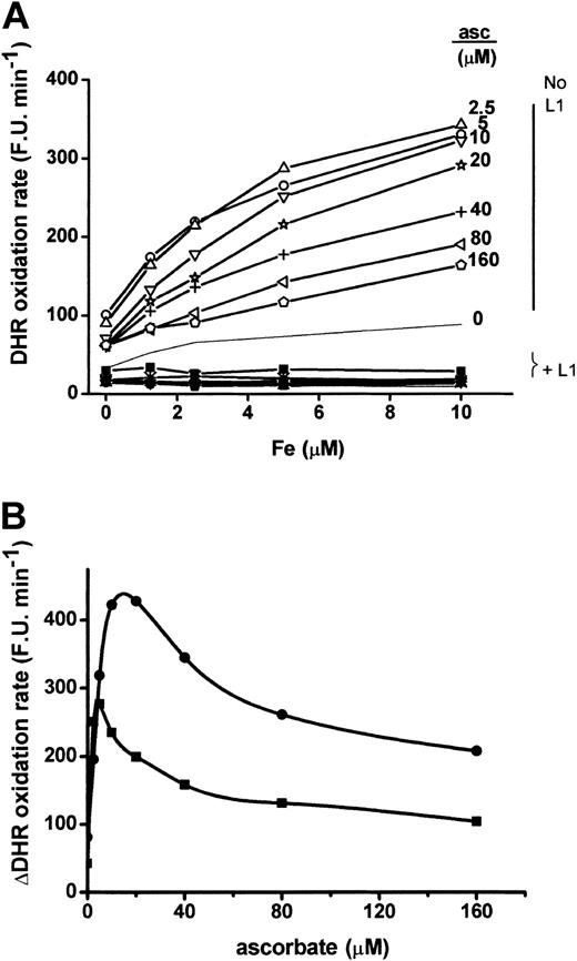 Figure 1. DHR oxidation mediated by mixtures of iron and ascorbate. (A) Samples of plasmalike medium (PLM) containing increasing concentrations of iron (as Fe(III):NTA complex) were mixed with reagent (“Materials and methods”) containing increasing concentrations of ascorbate (0-160 μM) and 50 μM DHR without (no L1) or with (+ L1) 50 μM iron chelator L1. The rate of increase in DHR fluorescence was followed and is given as arbitrary fluorescence units per time (FU × minute-1). (B) Plot of the L1-sensitive component of DHR oxidation in Graph A (“μDHR oxidation rate”) versus ascorbate concentration. Shown for comparison are 2 concentrations of Fe, 5 and 20 μM (▪ and •, respectively).