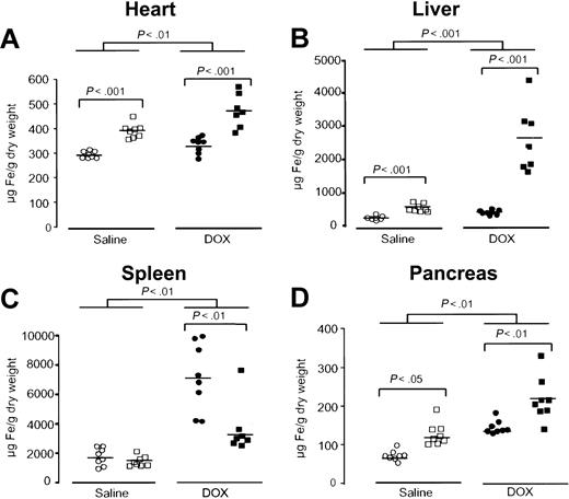 Figure 1. Acute DOX treatment induces alterations in iron metabolism that are exacerbated in Hfe-deficient mice. Iron concentration in the heart (A), liver (B), spleen (C), and pancreas (D) of saline-treated (white symbols) and DOX-treated, day 4, (black symbols), wild-type (○, •) and Hfe-/- (□, ▪) mice. Horizontal bars represent means. Differences between strains and between treatments were determined by Student t test.