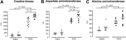 Figure 3. Effect of Hfe deficiency on DOX-induced increase in serum creatine kinase (CK), aspartate aminotransferase (AST), and alanine aminotransferase (ALT). Serum CK (A), AST (B), and ALT (C) were measured in saline-treated (white symbols) and DOX-treated, day 4, (black symbols) wild-type (○, •) and Hfe-/- (□, ▪) mice. Horizontal bars represent means. Differences between strains and between treatments were determined by Student t test.