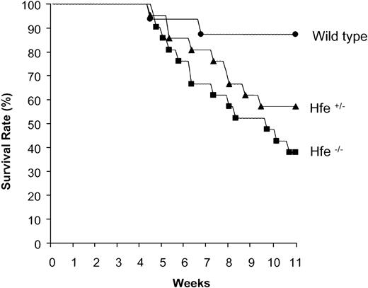 Figure 4. Increased mortality of heterozygous (Hfe+/-) and homozygous (Hfe-/-) mice chronically treated with DOX. Representative experiment showing the survival rates of wild-type (•), Hfe+/- (▴), and Hfe-/- (▪) mice (n = 16 per group) chronically treated with DOX.