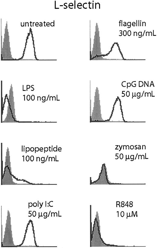 Figure 7. TLR stimulation triggers L-selectin shedding. Human neutrophils were stimulated for 1 hour at the indicated doses of TLR agonist and harvested. Cells were stained for L-selectin (CD62L, open histogram) or isotype control (filled histogram). Data are representative of 3 similar experiments conducted on 2 donors.