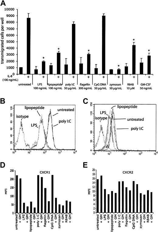 Figure 9. TLR agonist-mediated effects on chemotaxis. (A) The ability of human neutrophils treated with TLR agonists to chemotax to IL-8 was measured in Neuro Probe chemotaxis chambers. Cells that had transmigrated through the filter were quantitated using a fluorescent plate reader. Microscopy and manual cell counts gave similar results. *P < .005, as determined by Student t test, compared with untreated cells responding to IL-8. Error bars indicate standard deviation of triplicate measurements. Data are representative of 3 similar experiments conducted on 2 donors. CXCR1 (B) and CXCR2 (C) expression on neutrophils was assessed by flow cytometry following 2 hours of stimulation with LPS, lipopeptide, and poly I:C. Isotype controls for treated cells were not significantly different from untreated cells. Mean fluorescence intensities (MFIs) for expression of CXCR1 (D) and CXCR2 (E) of neutrophils following 2 hours of stimulation with the indicated TLR stimulus, with or without 90 minutes of pretreatment with GM-CSF.