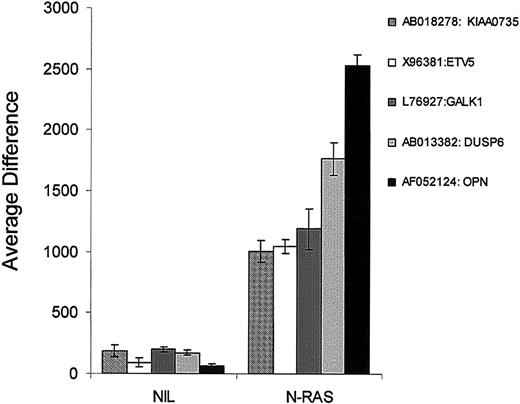 Figure 6. Mutant N-Ras induces expression of known Ras/MAPK targets. Five genes were found to be virtually absent in NIL controls (average difference of < 200) and significantly induced in the mutant N-ras-transfected samples (average difference of > 1000). Three of these genes were solely induced by N-ras activating mutation. Among these ETV5 has been shown to be a target of Ras/MAPK signaling.