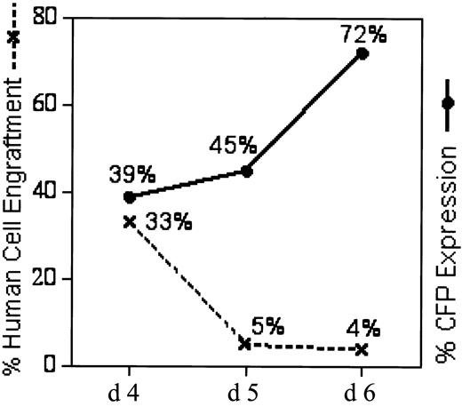 Figure 4. Increased transgene expression in NOD/SCID repopulating CD34+ PBSCs during prolonged ex vivo culture at the cost of human cell engraftment. CD34+ PBSCs were cultured ex vivo and transduced with RD114-MFGS-CFP for 4 (mice III-A, III-B, Table 1) 5 (mice III-C, III-D), or 6 (mice III-E, III-F) days before transplantation into NOD/SCID mice. Although transgene expression (solid line) increases with each extra day of transduction on days 5 and 6, human cell engraftment (dashed line) is lost substantially with ex vivo culture longer than 4 days.