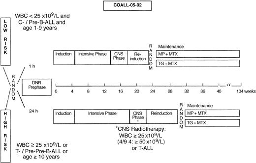 Figure 1. Simplified therapeutic scheme of study COALL-92.