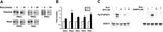Figure 2. Bryostatin 1–induced STAT1 activation is dependent on PKC activation in CLL cells. (A) CLL cells were left untreated or treated with 10 nM Bryostatin 1 for 3 or 24 hours. Whole cell lysates were analyzed by Western blotting for the presence of different PKC isoforms. Data are representative of 3 experiments using 3 different patients' cells. (B) CLL cells were treated with 10 nM Bryostatin 1 for 30 minutes. Cells were lysed, and PKC kinase activity was measured after immunoprecipitation in an in vitro kinase assay. Values represent the means ± SEMs of assays performed on CLL cells from 3 patients. (C) CLL cells were pretreated with the indicated concentrations of GF109203X (GFX) or Gö6976 for 1 hour prior to addition of 10 nM Bryostatin 1 for 3 hours. Whole-cell lysates were analyzed by Western blotting for tyrosine phosphorylation of STAT1 (Tyr-P-STAT1). Blots were stripped and reprobed for total STAT1. Data are representative of 4 experiments using 3 different patients' cells.
