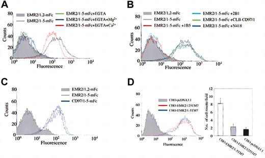 Figure 2. Characterization of the EMR2-ligand interaction. (A) The EMR2-ligand interaction is Ca2+ dependent. (B) Preincubation with anti–EGF-like domain 4 antibodies (1B5 and 2B1) results in the ablation of the binding of multivalent EMR2 probes to CHO-K1. An anti–EGF-like domain 1 antibody (CLB-CD97/1) and a control Ab (N418) had no effect on binding. (C) FACS analysis showing that binding of CHO-K1 cells by the largest isoform of human CD97 is similar to that of EMR2. (D) Generation of stably transfected CHO-K1 cells expressing transmembrane EMR2/1-5 and EMR2/1,2,5 proteins (left panel). Expression of cell-surface EMR2 was determined by flow cytometric analysis using 2A1 mAb and an isotype-control Ab (data not shown). The formation of cell rosettes in single-cell suspensions (right panel). EMR2/1-5–expressing cells (white bar) formed more cell rosettes than did EMR2/1,2,5–expressing cells (gray bar) and pcDNA3.1-transfected cells (black bar) (n = 20). Error bars are equal to one standard deviation.
