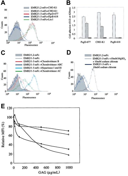Figure 5. Dissection of the EMR2 ligand. (A) FACS analysis of CHO cell mutants shows that EMR2 binds a CS-bearing proteoglycan. PgsB-618 lacks all GAG side chains, PgsD-677 lacks heparan sulfate side chains, and Lec1 cells lack N-linked carbohydrates. (B) Cell attachment assays using BSA (□), fibronectin (▧), EMR2/1-5 mouse Fc (⊞), and EMR2/1,2 mouse Fc (▪). Each point represents the mean ± SEM of triplicate wells. The experiments were performed 3 times with similar results. (C) Enzymatic digestion of GAG side chains show that EMR2 binds to a CS-B– or CS-C–bearing proteoglycan. (D) FACS analysis of CHO-K1 cells treated with 10 mM sodium chlorate or 10 mM sodium chlorate and 10 mM magnesium sulfate. (E) The EMR2-ligand interaction is blocked by exogenous GAGs. Efficient blocking was observed when incubated with CS-B (♦) and CS-C (▵), but not HS (▪) or CS-A (□). Note that the blocking effect is dose dependent. The figure is a representative of 3 independent experiments with similar results.