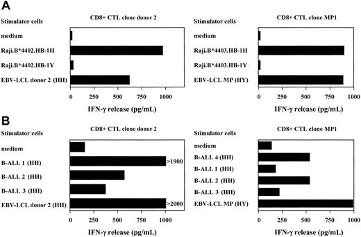 Figure 2. Specific reactivity of in vitro–induced anti–HB-1H.B44 CTL clone donor 2 in comparison with in vivo–induced CTL MP1. Production of IFN-γ of CTL clone donor 2 and MP1 was determined on stimulation with (A) Raji cells transfected with HLA-B44 (B*4402 or B*4403) plus HB-1H or HB-1Y and EBV-transformed B-cell lines endogenously expressing HB-1, and (B) B-ALL cells of HLA-B44–positive patients. HB-1 typing for each stimulator cell is shown in parenthesis. HLA-B44 subtype of patients 1, 2, and 3 is B*4402 and of patient 4 is B*4403.