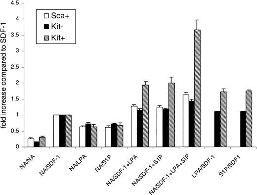 Figure 2. LPA and SIP act synergistically with SDF-1 in primitive hematopoietic cells. The effect of LPA or S1P on the migratory response of cells to SDF-1 was measured. In some wells no additional stimuli were used (NA). In some wells LPA, S1P, and SDF-1 were added to either the top well (shown as LPA/NA on the x-axis), the bottom well (NA/LPA), or both. Data are expressed as the fold increase in cell migration, where the migration stimulated by SDF-1 alone is 1. Results are the mean ± SEM of 3 or more experiments. Statistical analysis was by Student paired, 2-tailed t test.