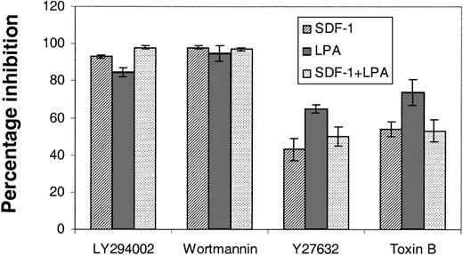Figure 5. The effects of signal transduction inhibitors on the transwell migration of Lin– Sca+ Kit+ cells. The effects of PI3K inhibitors, LY294002 (100 μM) and wortmannin (500 nM), and Rho kinase inhibitor, Y27632 (50 μM), and toxin B (20 ng/mL) on the migration of Lin– Sca+ Kit+ cells were assessed in transwell assays. Cells were preincubated with toxin B for 3 hours and the other inhibitors were included in the top well for the duration of a 6-hour assay. Results are the mean ± SEM of 3 separate experiments and are shown as the percentage inhibition of migration in the absence of inhibitors.