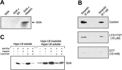 Figure 6. Inhibitors of hGIIA that block the binding of hGIIA to vimentin and HSPGs. (A) hGIIA preincubated or not with DTT (100 mM) or heparin (500 μg/mL) for 30 minutes at RT was injected into 1 mL columns containing heparan sulfates as described in “Materials and methods.” The columns were then washed, and the eluate was analyzed for hGIIA by immunoblotting as described in the “Materials and methods.” (B) Indicated amounts of vimentin were spotted on PVDF membranes. hGIIA (0.1 μg/mL) was preincubated or not with 10 mM DTT or 10 μM LY311727 at RT for 30 minutes and then incubated with immobilized vimentin on PVDF membranes in the presence or the absence of DTT or LY311727. The membrane was then probed with the hGIIA antibody as described in “Materials and methods.” (C) hGIIA was preincubated or not with LY311727 (10 μM) for 30 minutes at RT and then incubated with control or Fas-treated cells in the presence or the absence of heparin (50 μg/mL). Cell suspensions were sequentially lysed, and proteins in the Hypo LB–soluble and Hypo LB–insoluble/Hyper LB–soluble fractions were separated by SDS-PAGE. The samples were transferred to a PVDF membrane and probed with the hGIIA antibody as described in “Materials and methods.”