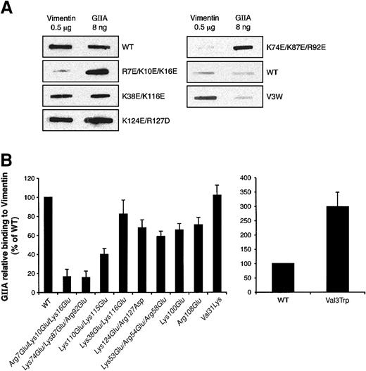 Figure 7. Vimentin binding to hGIIA mutants. (A) hGIIA (WT) or its mutants (0.1 μg/mL) were incubated with PVDF membranes to which 0.5 μg vimentin was immobilized. As positive controls, hGIIA or its mutants (8 ng) were also immobilized onto PVDF membranes. hGIIA and its mutants were then detected by immunoblotting as described in “Materials and methods.” Decreased (left panels) and increased (right panels) binding of hGIIA mutants to vimentin is shown. (B) The ratio between the densitometric quantification of the hGIIA bound to 0.5 μg vimentin and that of 8 ng of the corresponding immobilized hGIIA represents the relative binding of hGIIA to vimentin. Results are presented as percentage of WT and are the means ± SEM of 4 different experiments.