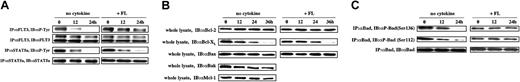 Figure 2. Changes in the expression and phosphorylation of Bcl-2 family members after deprivation or stimulation of cytokines in WtFLT3-32D cells. (A) Phosphorylation of FLT3 and STAT5a in WtFLT3-32D cells. Cells were washed 3 times with RPMI 1640 containing 10% FCS and resuspended with the same medium in the presence or absence of FLT3 ligand (FL, 50 ng/mL). After 0, 12, and 24 hours, each cell lysate was immunoprecipitated by anti-FLT3 antibody or anti-STAT5a antibody, and the immunocomplex was analyzed by immunoblotting with antiphosphotyrosine antibody 4G10. (B) The expression levels of Bcl-2 family members in WtFLT3-32D cells. After 0, 12, 24, and 36 hours, each sample was lysed and Western blotting analysis was performed with anti–Bcl-2, Bcl-XL, Bax, Bak, and Mcl-1 antibodies. (C) Immunoprecipitation by anti-Bad antibody at each time and immunoblotting by antiphospho Bad (Ser112) and antiphospho Bad (Ser136) specific antibodies were carried out.