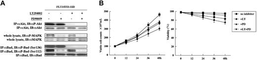 Figure 4. Antiapoptotic effect of FLT3/ITD is different from that of WtFLT3. (A) After 4-hour treatment of inhibitors, each sample was lysed and subjected to immunoblotting. The experiment was the same as in Figure 3A. (B) Inhibitory effects of kinase inhibitors on the growth and viability of FLT3/ITD-32D cells. The data shown are means and SDs of 3 independent experiments.