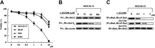 Figure 8. FLT3 kinase inhibitor induces apoptosis while suppressing Bcl-XL expression and Bad phosphorylation in MOLM-13 cells. (A) Inhibitory effect of AG1296 on the viability of human leukemia cell lines. AG1296 was added at the indicated concentrations, and viable cells were counted by the trypan blue dye–exclusion assay after 48-hour culture. The data shown are means and SDs of 3 independent experiments. (B) In MOLM-13 cells, each cell lysate at the indicated times was immunoblotted by antihuman Bcl-2 and Bcl-XL antibodies. Immunoblotting by antiactin antibody is for the control of total protein level. WL indicates whole lysate. (C) In treatment with AG1296 at increasing doses for 4 hours, each cell lysate was immunoprecipitated by anti-Bad antibody and immunoblotted by antiphospho Bad specific antibodies.