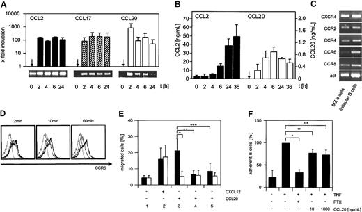 Figure 2. Analysis of chemokine and chemokine receptor expression and function. (A) Transcription of CCL2, CCL17, and CCL20 was quantified by real-time PCR. To monitor the amplification of the specific cDNA at the indicated points of time, the fluorescence of PCR products caused by intercalated SYBR-Green was determined. The specifically amplified cDNA was quantified in relation to β-actin transcripts from the same cDNA preparation and is shown as x-fold induction of the gene transcripts of activated cells compared with nonactivated cells. At the bottom, an agarose gel separation of the corresponding product is shown. (B) The concentration of CCL2 (left) and CCL20 (right) in the supernatant of stimulated cells was determined at the indicated points of time using a chemokine-specific ELISA. The detection limit of the CCL2 and the CCL20 ELISAs was 4 pg/mL and 150 pg/mL, respectively. (C) The expression of CC receptor transcripts on sorted marginal zone (CD21+ CD23–) and naive follicular B cells (CD21+ CD23+) was analyzed by RT-PCR. (D) The surface expression of CCR6 after ligand binding was analyzed using flow cytometry. Splenocytes were incubated with an anti-CCR6 mAb for 20 minutes at 4°C. Subsequently, the ligand CCL20 was added and the cells were incubated at room temperature. After the times indicated, the cells were placed on ice anda secondary antibody was used to reveal the CCR6 expression on naive (CD21+ CD23+) follicular B cells (bold line indicates CCR6 expression on naive untreated cells; thin line, CCR6 expression of B cells after binding of CCL20; and broken line, isotype). (E) The chemokines CXCL12 (2; 10 ng/mL) and CCL20 (3; 100 ng/mL) were used to induce locomotion in CCR6-positive (▪) and CCR6-negative (□) B cells in a transwell assay. Cells were allowed to migrate for 2 hours at 37°C, harvested from the lower chamber, and analyzed by flow cytometry. As controls, no CCL20 was added to the lower chamber (1, medium control). Furthermore, as desensitization controls B cells were preincubated (10 minutes) with CCL20 (100 ng/mL) before being added to the upper chamber with (4) or without (5) the chemokine. The results of 3 independent experiments are presented as mean ± SEM. Statistical significance was determined using an unpaired Student t test (*P ≤ .001, **P ≤ .001, ***P ≤ .002). (F) The adhesion of B cells to endothelial cells activated for 6 hours was determined after Ptx treatment or desensitization of splenocytes with recombinant CCL20 at a concentration of 10 ng/mL and 1000 ng/mL. The number of B cells was quantified using electronic gating. Adhesion of untreated B lymphocytes to activated endothelial cells was set at 100% (*P ≤ .001, **P ≤ .004, ***P ≤ .005). The results of 4 independent experiments are presented as mean ± SEM. Statistical significance was determined using an unpaired Student t test.
