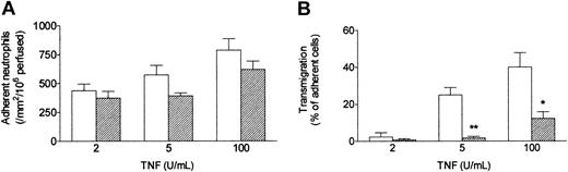 Figure 2. Effect of exposing HUVECs to flow on their response to different concentrations of TNF. Response was assessed by (A) number of adherent neutrophils, and (B) percentage of adherent neutrophils transmigrating through the monolayer. HUVECs were cultured static (□) or exposed to a shear stress of 0.3 Pa (▨) for 28 hours, with TNF added for the last 4 hours, followed by flow-based adhesion assay. Data are mean ± SEM from 3 or 4 experiments at each concentration of TNF. Analysis of variance (ANOVA) showed significant effect of culture conditions on adhesion (P < .05) and transmigration (P < .01). *P < .05, **P < .01 compared with results for static cultures by paired t test.