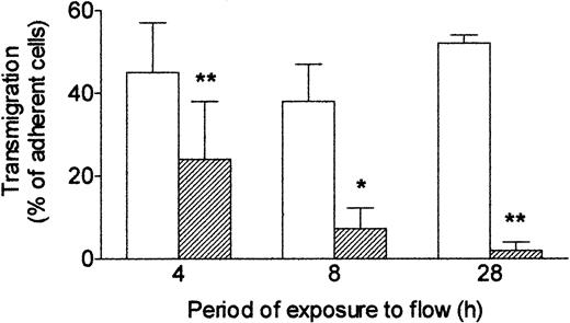 Figure 3. Effect of exposing HUVECs to flow for varying times on their response to TNF. Response was assessed by the percentage of adherent neutrophils transmigrating through the monolayer. HUVECs were cultured static (□) or exposed to shear stress of 0.3 Pa (▨) for 4, 8, or 28 hours. TNF (100 U/mL) was added for the last 4 hours, followed by flow-based adhesion assay. Data are mean ± SEM from 3 or 4 experiments of each duration. ANOVA showed significant effect of culture conditions on transmigration (P < .01). *P < .05, **P < .01 compared with results for static cultures by paired t test.