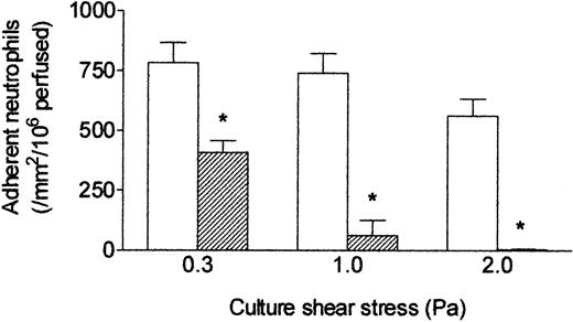 Figure 4. Effect of exposing HUVECs to flow at different shear stresses on their response to TNF. Response was assessed by the number of adherent neutrophils. HUVECs were cultured static (□) or exposed to flow (▨) at a shear stress of 0.3, 1.0, or 2.0 Pa for 28 hours with 100 U/mL TNF added for the last 4 hours, followed by flow-based adhesion assay. Data are mean ± SEM from 3 to 5 experiments at each stress. ANOVA showed significant effect of the level of stress on adhesion (P < .01). *P < .02 compared with results for static cultures by paired t test.