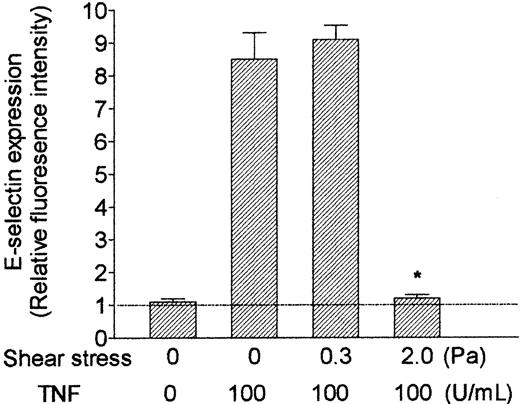 Figure 7. Effect of exposing HUVECs to flow on their up-regulation of surface expression of E-selectin in response to treatment with TNF. HUVECs were cultured under static conditions or exposed to shear stress of 0.3 Pa or 2.0 Pa for 28 hours, with 100 U/mL TNF added for the last 4 hours. Data are mean ± SEM from 3 experiments using immunofluorescence labeling and flow cytometry. Values are expressed relative to intensity of fluorescence for HUVECs labeled with nonspecific control antibody. *P < .05 compared with HUVECs treated with TNF under static conditions. Horizontal line represents relative fluorescence intensity (set at 1).