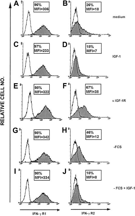 Figure 1. IFN-γR1 and IFN-γR2 surface expression in malignant T cells. Surface expression of IFN-γR1 and IFN-γR2 in ST4 T cells evaluated by flow cytometry after 24-hour culture in the presence of complete medium (A-B), IGF-1 (100 ng/mL) (C-D) or anti–IGF-1R blocking mAb (10 μg/mL) (E-F), medium without serum (G-H) or medium without serum supplemented with IGF-1 (100 ng/mL) (I-J) using anti–IFN-γR1 γR99 (A,C,E,G,I) or anti–IFN-γR2 mAb (B,D,F,H,J). The histogram represents the expression of IFN-γR1 (left panels, gray histogram), IFN-γR2 (right panels, gray histogram), or background of mouse IgG1 negative control (white histogram) in the ST4 T-cell line in 1 representative experiment of 3 independently performed. Results in frame are expressed as percentage of positive cells calculated by subtracting the positivity of nonspecific fluorescence detected with isotype-matched control Ig from that obtained with specific fluorescence, and the mean of fluorescence intensity (MFI) is indicated.